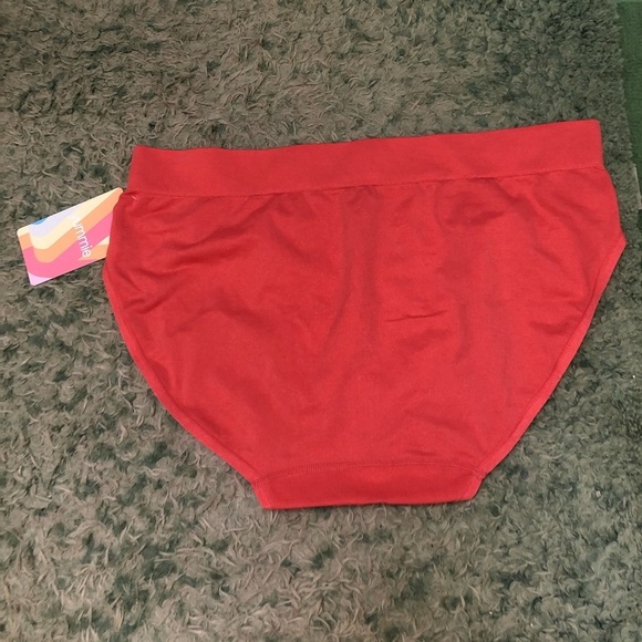 NWT YUMMIE BURNT SIENNA 
 BIKINI UNDERWEAR - Picture 4 of 4